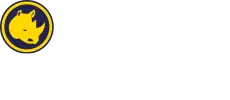 Spinorhino logo